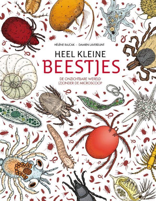 Heel kleine beestjes 9789059568259 Hélène Rajcak, Boeken, Overige Boeken, Gelezen, Verzenden