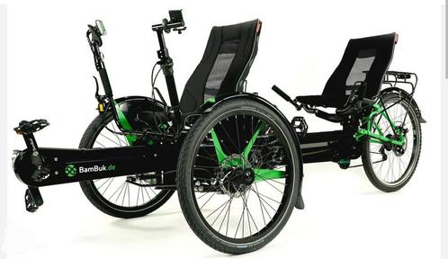 Koga Twintraveller deelbaar Hase Pino Van Raam Twinny Tandem, Fietsen en Brommers, Fietsen | Tandems, Zo goed als nieuw, Meer dan 20 versnellingen