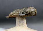 Trilobiet - Gefossiliseerd dier - Crotalocephalus gibbus -