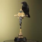Kraai op Kruis Taxidermie Opgezette Dieren By Max, Ophalen of Verzenden, Nieuw, Vogel, Opgezet dier
