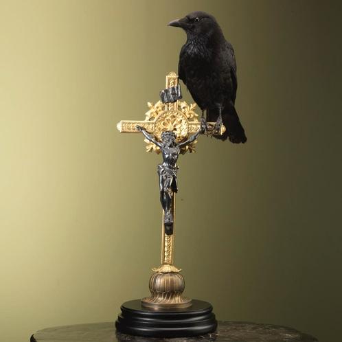 Kraai op Kruis Taxidermie Opgezette Dieren By Max, Verzamelen, Dierenverzamelingen, Opgezet dier, Nieuw, Vogel, Ophalen of Verzenden