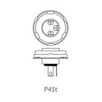 ProPlus Duplolamp - 12V - 45/40W - P45T - Groot licht en..., Auto-onderdelen, Verlichting, Ophalen of Verzenden, Nieuw