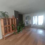 Gemeubileerd appartement met tuin en wifi, Appartement, Direct bij eigenaar, Culemborg