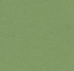 Forbo Bulletin Board 2213 baby lettuce, Huis en Inrichting, Stoffering | Vloerbedekking, Verzenden, Nieuw
