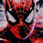 David Law - Crypto Spiderman - Format XL 60x60, Antiek en Kunst