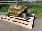 Beeld, reuze schildpad - 45 cm - polyresin