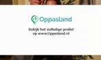 Demian zoekt een oppas in Utrecht voor 2 kinderen voor 7...