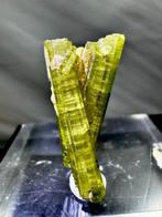 Extreem glanzend, bijgebeterd groen toermalijnkristal prive, Verzamelen
