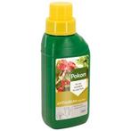 Pokon anthurium voeding (250 ml), Verzenden, Nieuw