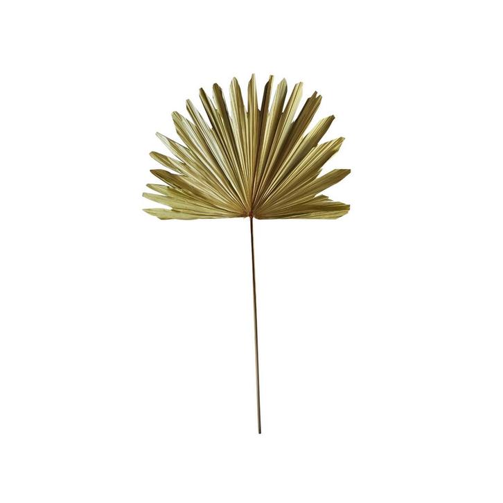 *palmblad tak gedroogd 103cm*, Huis en Inrichting, Woonaccessoires | Overige, Verzenden