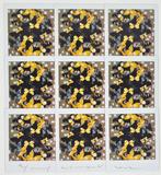 Maurizio Galimberti (1956–) - Butterfly