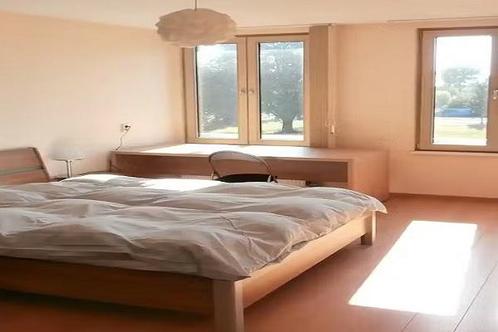 Kamer P. Hans Frankfurthersingel in Amsterdam, Huizen en Kamers, Kamers te huur, 20 tot 35 m², Amsterdam