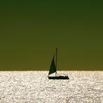 Roberto Cavalli (1971) - Somewhere, By the sea #797