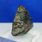 CV3, CARBONACEUS CHONDRIET METEORIET (Sahara, 2024) Met, Verzamelen, Mineralen en Fossielen