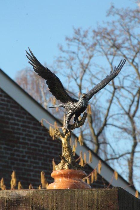 sculptuur, eagle in vlucht - 33 cm - brons marmer, Antiek en Kunst, Kunst | Designobjecten