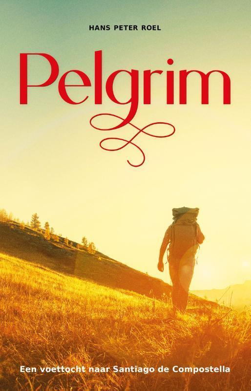 Pelgrim 9789079677986 Hans Peter Roel, Boeken, Literatuur, Gelezen, Verzenden