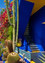 Dominik Valvo - Jardin Majorelle #5 (Marrakech 2024) XL