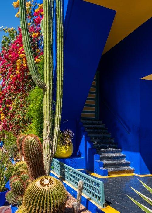 Dominik Valvo - Jardin Majorelle #5 (Marrakech 2024) XL, Antiek en Kunst, Kunst | Designobjecten