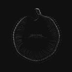 lp nieuw - Sylosis - A Sign Of Things To Come (White Vinyl), Verzenden, Zo goed als nieuw