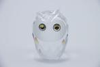 Figuur - Swarovski Crystal - Uil (Boxed + certificate) -