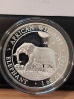 Somalië. 100 Shilling 2022 African Wildlife Elephant, Postzegels en Munten