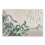 Snake and Lizard Ukiyo-e () - Tsh Hokkei (1780 -
