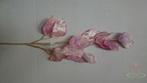 Judaspenning Zijdebloem ROZE 62cm. Judaspenning Roze, Ophalen of Verzenden, Nieuw