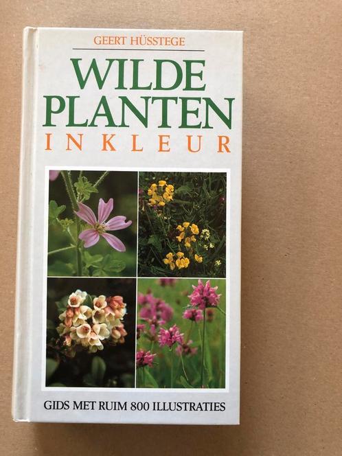 Wilde Planten in Kleur - 800 illustraties - NIEUW, Boeken, Natuur, Zo goed als nieuw, Bloemen, Planten en Bomen, Ophalen of Verzenden