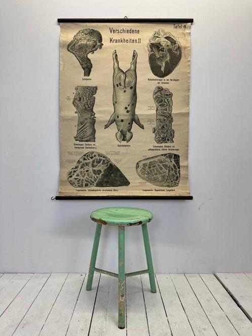 Lesmateriaal - Werner and Winter Frankfurt - Hout, Papier,, Antiek en Kunst, Antiek | Wandborden en Tegels