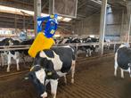 Volautomatische Koeborstel Thuis Geleverd, Dieren en Toebehoren, Ophalen of Verzenden, Nieuw