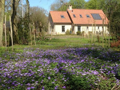 Studio te huur in Voorne aan Zee - 200 m² - 2 kamer(s) - 2, Huizen en Kamers, Kamers te huur, Overige regio's