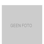 Remslang DS DS 1.6 THP achterzijde, rechts, Verzenden, Nieuw