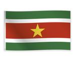 Vlag Suriname 1,5m, Nieuw, Verzenden