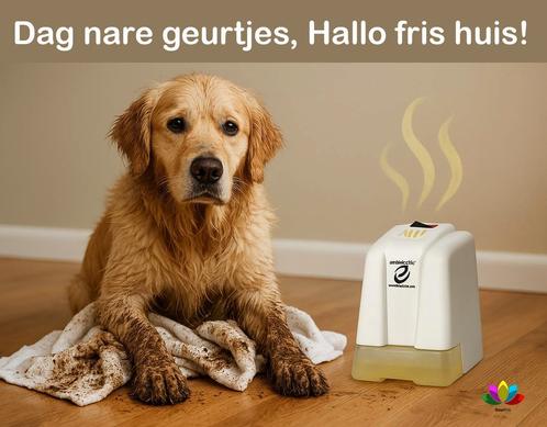 Last van dierenlucht? Zo ben je er in 1 dag vanaf!, Diensten en Vakmensen, Dieren | Katten | Verzorging, Oppas en Les