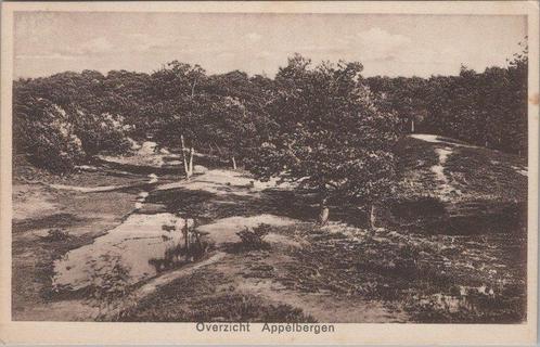 APPELBERGEN - Overzicht Appelbergen, Verzamelen, Ansichtkaarten | Nederland, Verzenden