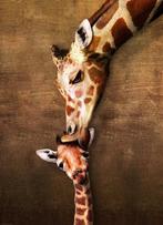 Eurographics puzzel dieren Giraffe  van €18,10 voor €14,48, Ophalen of Verzenden, Nieuw