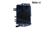 Radiateur Links Triumph Tiger 900 Rally Pro 2021, Verzenden, Gebruikt