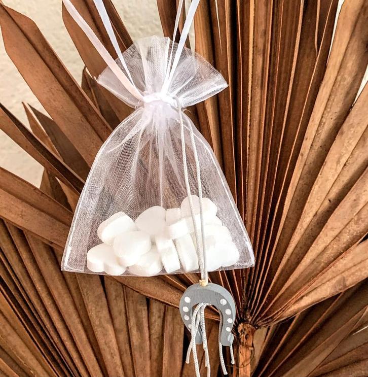 Bedankje of traktatie Hoefijzer en Mints, Dieren en Toebehoren, Paarden en Pony's | Overige Paardenspullen, Overige soorten, Nieuw