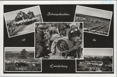 LEMELERBERG - Meerluik Schaapskudden op de Lemelerberg, Verzamelen, Ansichtkaarten | Nederland, Verzenden