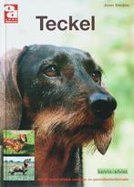 Teckel / Over Dieren 9789058216045 J. Steijns, Verzenden, Gelezen, J. Steijns