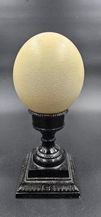 Struisvogel Ei - struthio camelus ei - 300 mm - 125 mm - 125, Antiek en Kunst