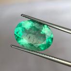 1 pcs Groen Smaragd - 4.60 ct - International Gemological, Nieuw