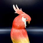 Karl Ens, Volkstedt - Cockatoo Parrot on Branch (20 cm) - ca