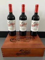 2010 Marquès de Murrieta, Castillo Ygay - Rioja Gran Reserva, Nieuw