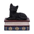 Nemesis Now Gothic Giftware Collection-Salems Spells, Verzamelen, Beelden en Beeldjes, Ophalen of Verzenden, Nieuw