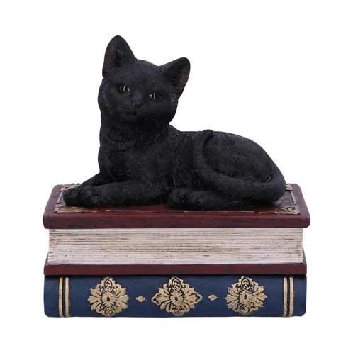 Nemesis Now Gothic Giftware Collection-Salems Spells, Verzamelen, Beelden en Beeldjes, Nieuw, Ophalen of Verzenden