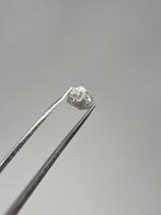 Diamant Brut Grijs Licht Natuurlijk 0,88 karaat GEEN