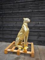 Beeld, XL Cheetah - 86 cm - Hars, Antiek en Kunst