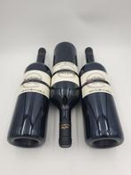 2003 Arnaldo Caprai, Nero Outsider - Umbrië - 3 Magnums, Nieuw