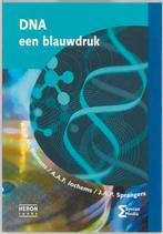 DNA een blauwdruk 9789077423080, Boeken, Zo goed als nieuw